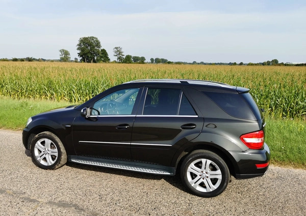 Mercedes-Benz ML cena 89000 przebieg: 116000, rok produkcji 2009 z Kęty małe 137